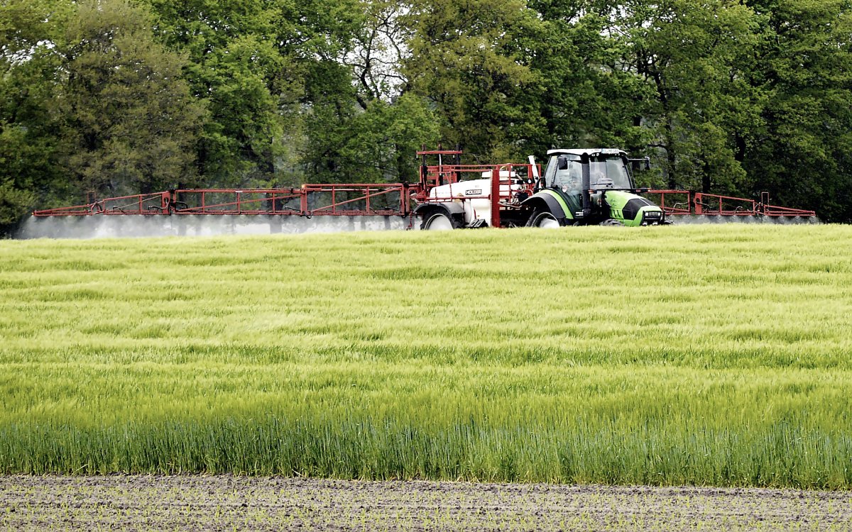 Novo marco regulatório de classificação de agrotóxicos é aprovado pela Anvisa